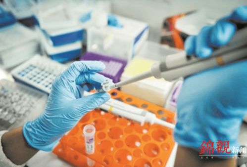 睿樂(lè)達(dá)再次吸睛 從機(jī)器人到原研藥，看成都566.8億元高新技術(shù)產(chǎn)品背后的創(chuàng)新韌性